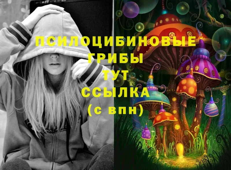 закладки  Алупка  Галлюциногенные грибы Cubensis 